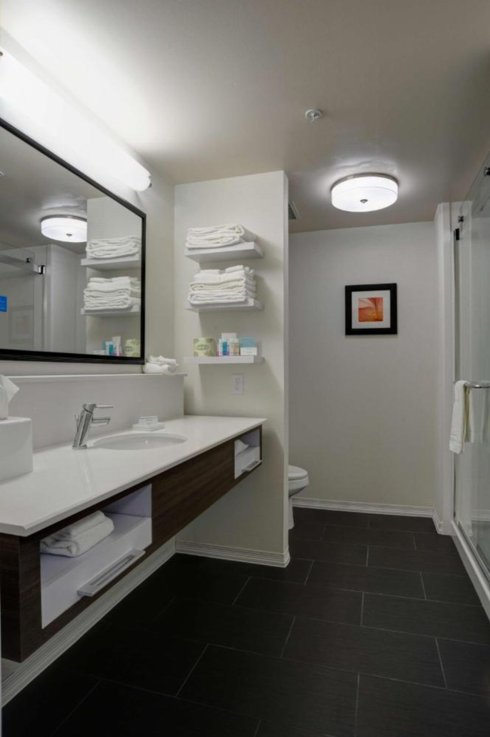 Hampton Inn By Hilton and Suites Ardmore, OK Image 6